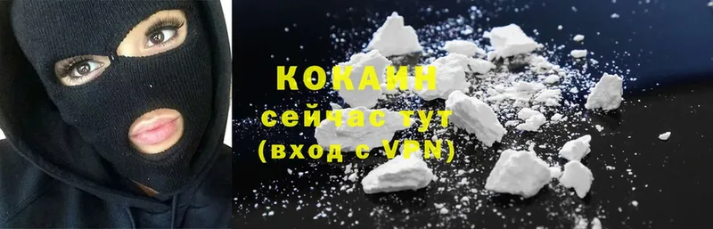 как найти   Химки  COCAIN FishScale 